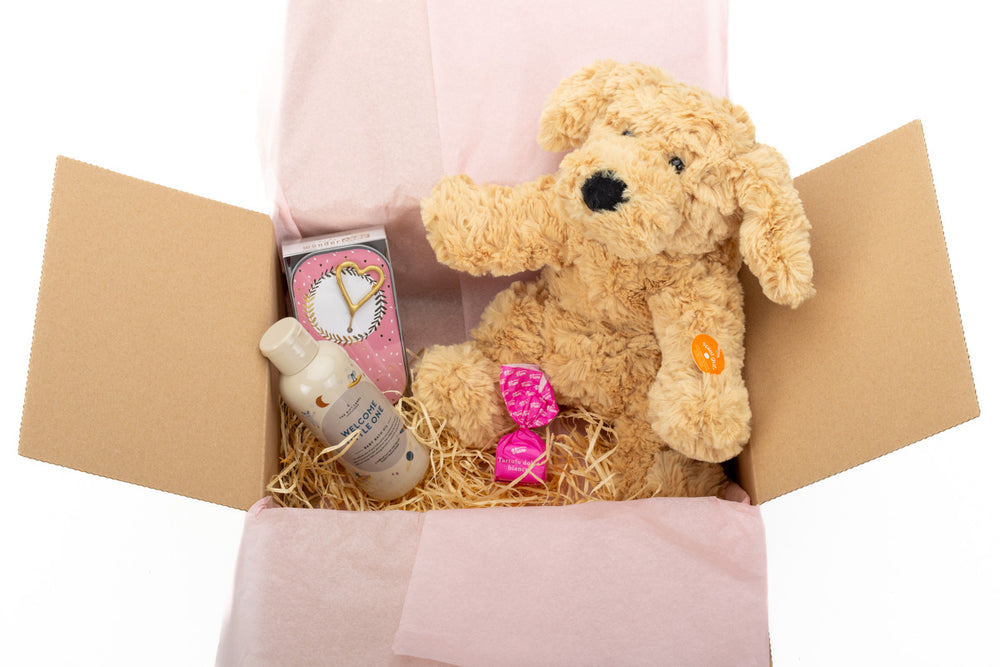 Geschenkbox Welcome Baby Girl zur Geburt - ooobox