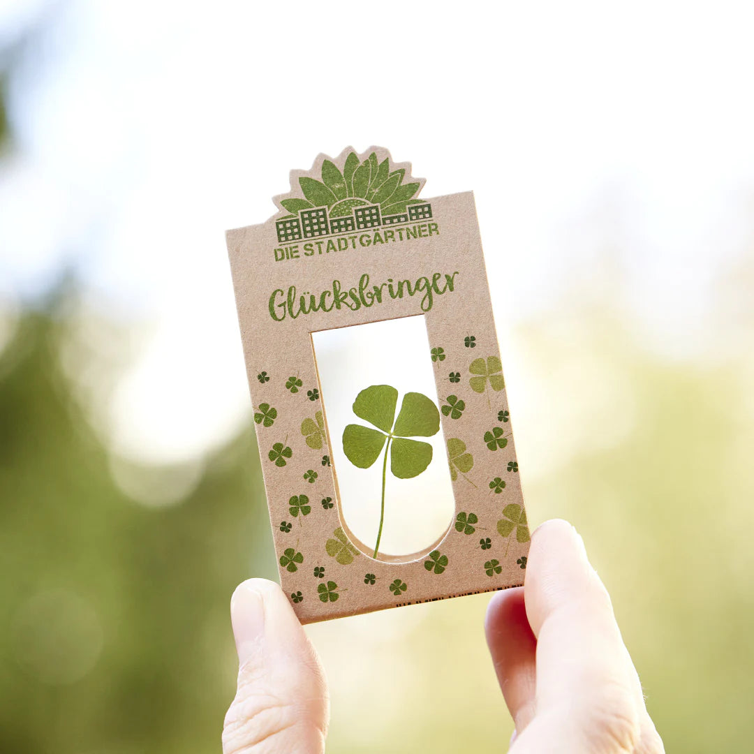 Glücksbringer - ooobox