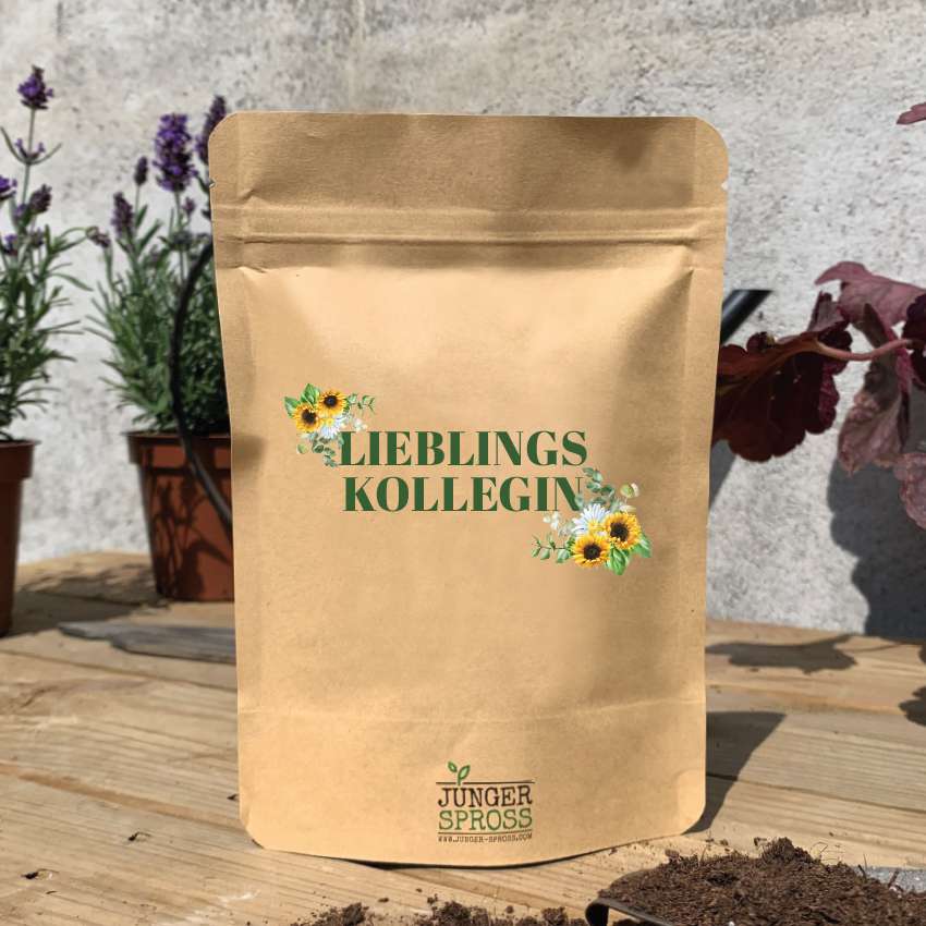 Geschenkbox Lieblingskollegin mit Keksen, Blumen und Limonade - ooobox