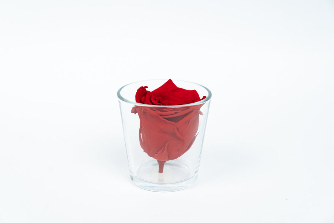 infinity rose mit passenden väschen