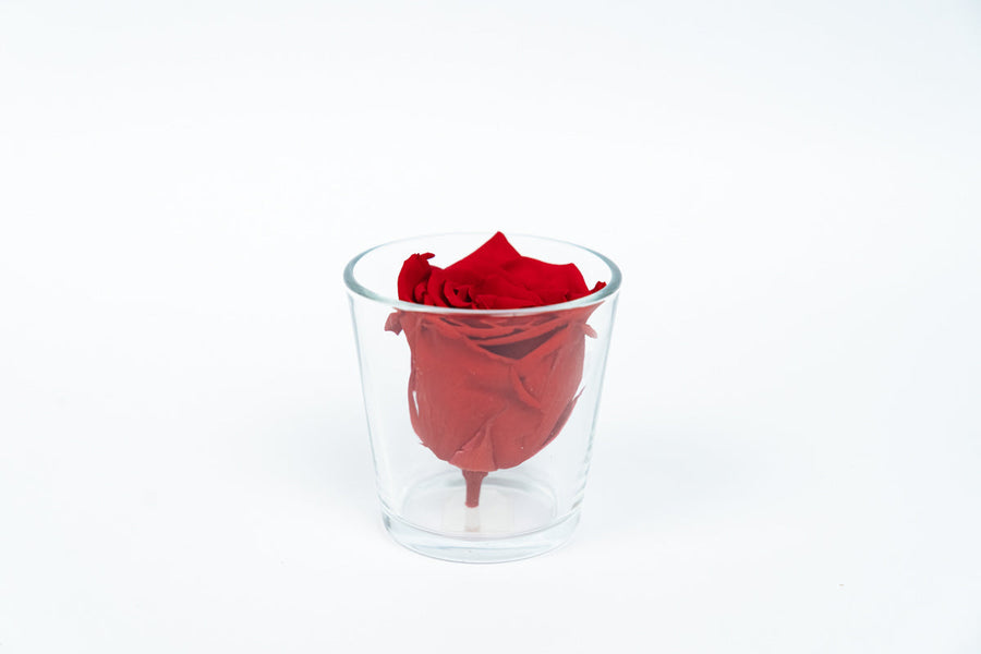 infinity rose mit passenden väschen