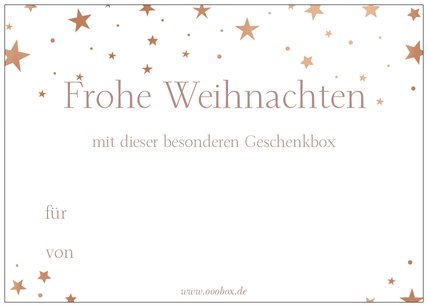 Weihnachstsgeschenk-Box "Dicke Freunde"