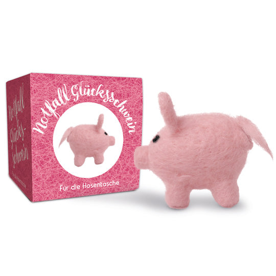 🍀 Glücks-Geschenkbox – Das perfekte „Viel Glück“-Geschenk