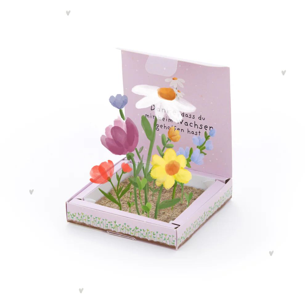 Pflanzkästchen "Danke, dass du mir beim wachsen geholfen hast" für blumige Dankes-Grüße